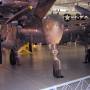 smithsonian0141.jpg