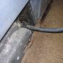 1961_rampside_b_interior_floor_03.jpg